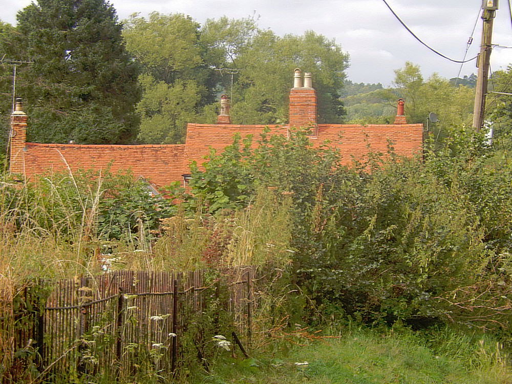 Engeland_Theemsvallij1_2016_Img0219