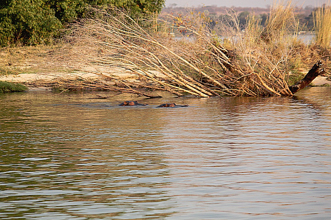 Zimbabwe_ZambeziSunset_2015_Img0021