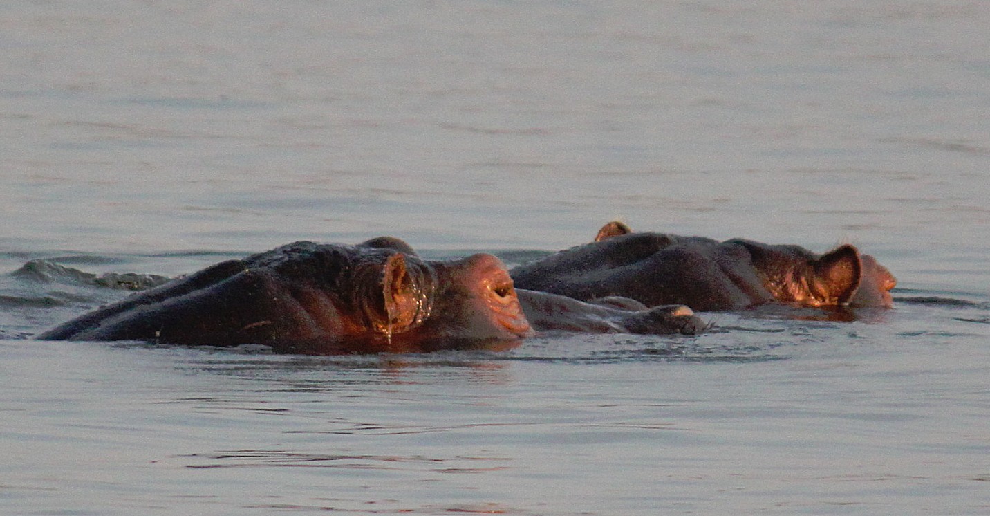 Zimbabwe_ZambeziSunset_2015_Img0023