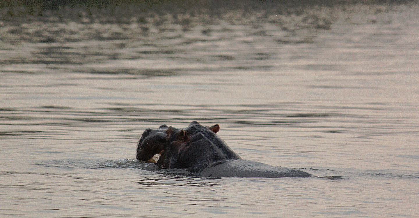 Zimbabwe_ZambeziSunset_2015_Img0031