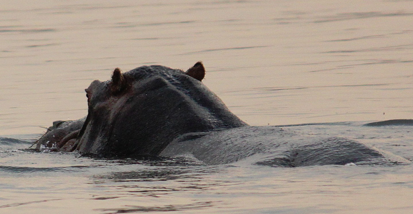 Zimbabwe_ZambeziSunset_2015_Img0032