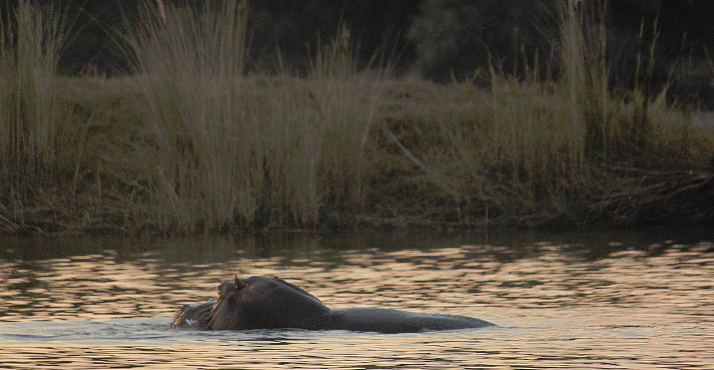 Zimbabwe_ZambeziSunset_2015_Img0040