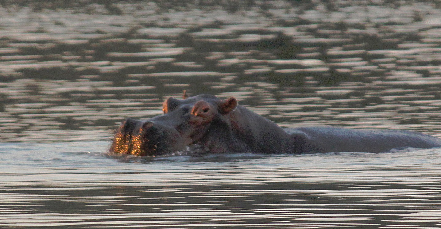 Zimbabwe_ZambeziSunset_2015_Img0042