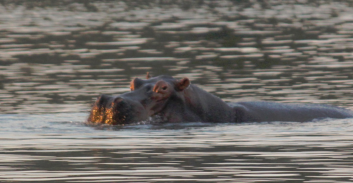 Zimbabwe_ZambeziSunset_2015_Img0042