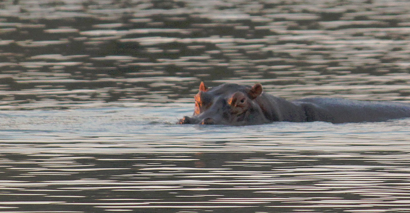 Zimbabwe_ZambeziSunset_2015_Img0043