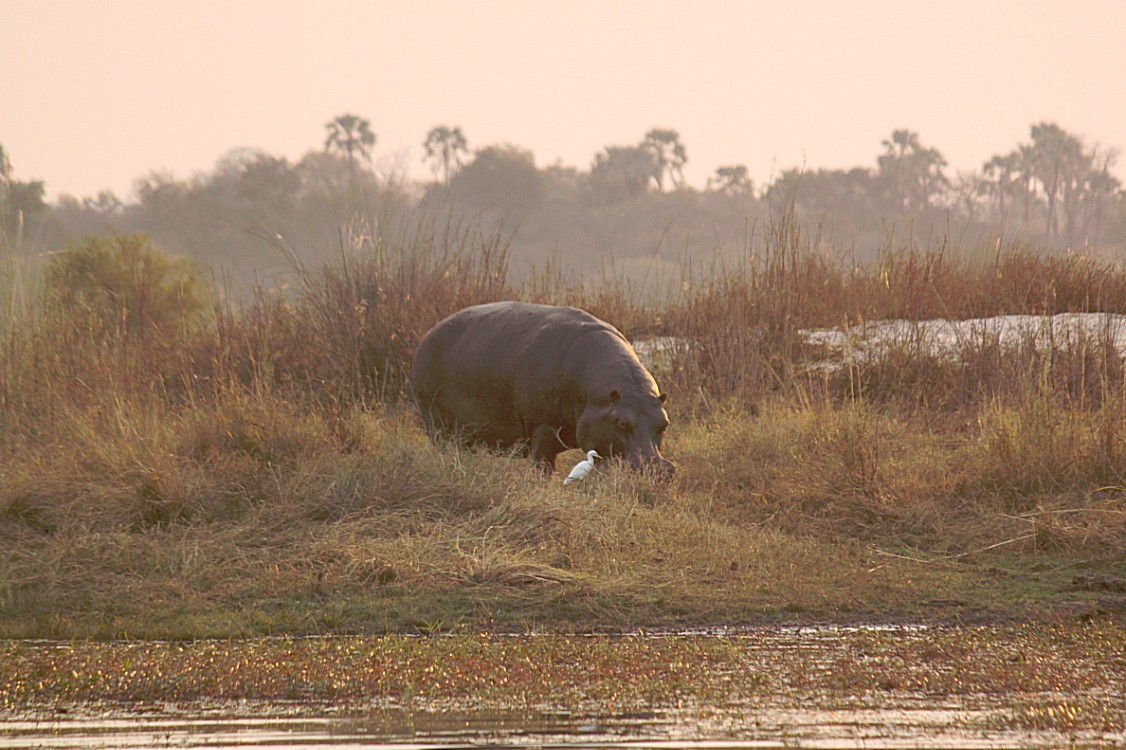 Zimbabwe_ZambeziSunset_2015_Img0047