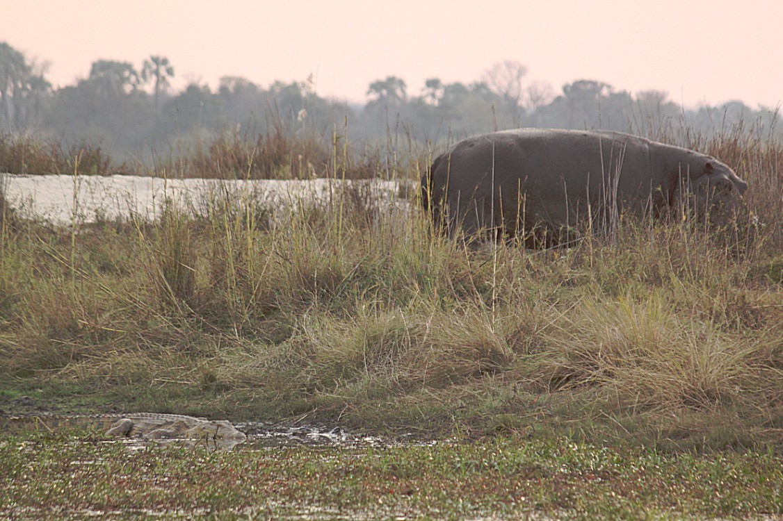 Zimbabwe_ZambeziSunset_2015_Img0055