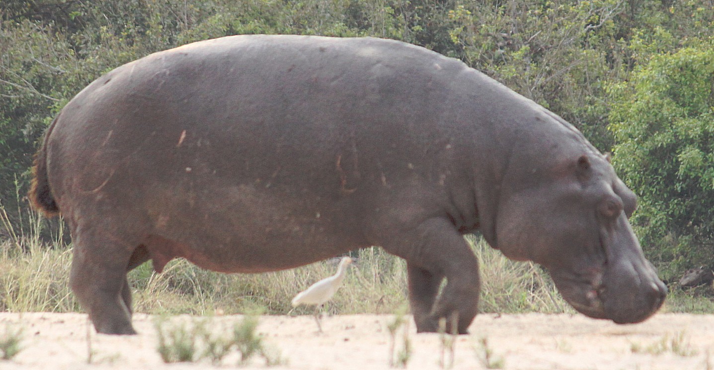 Zimbabwe_ZambeziSunset_2015_Img0060