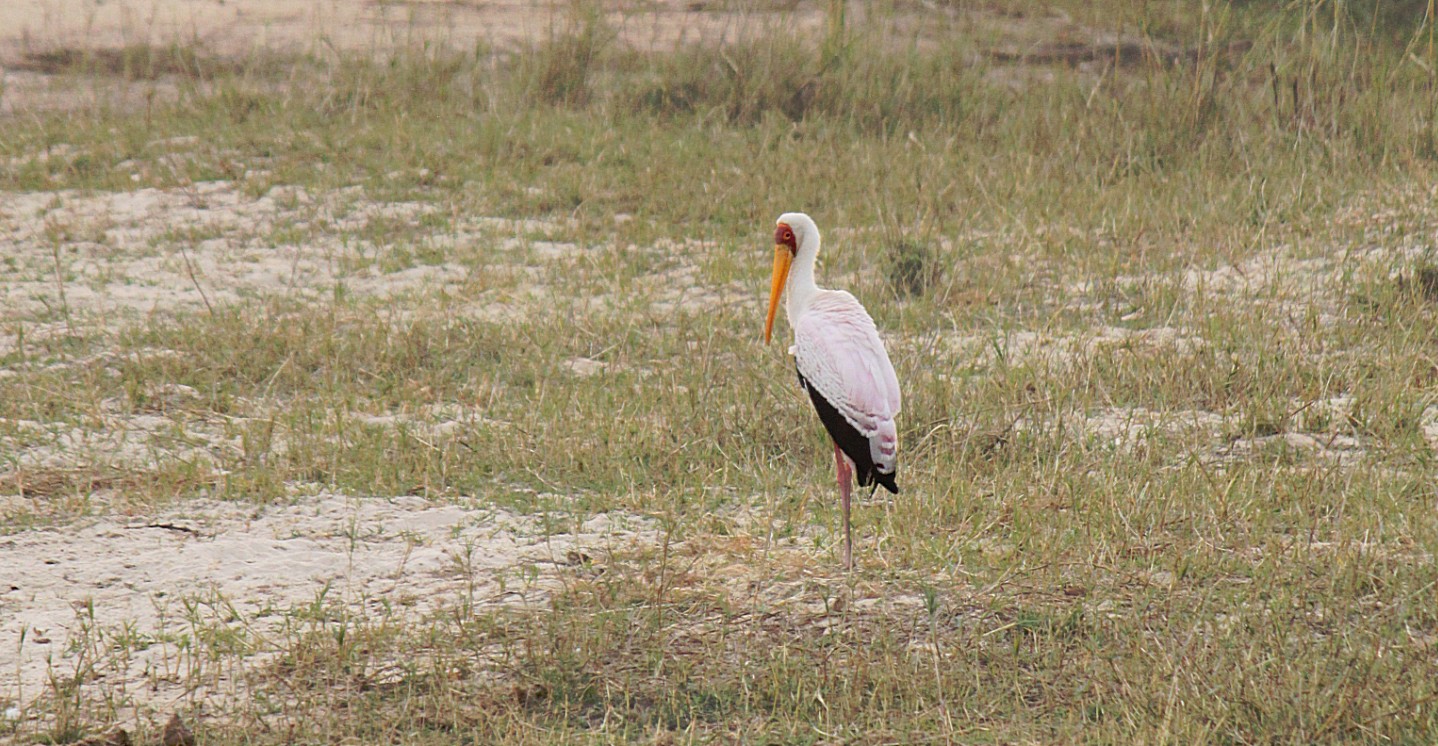 Zimbabwe_ZambeziSunset_2015_Img0069