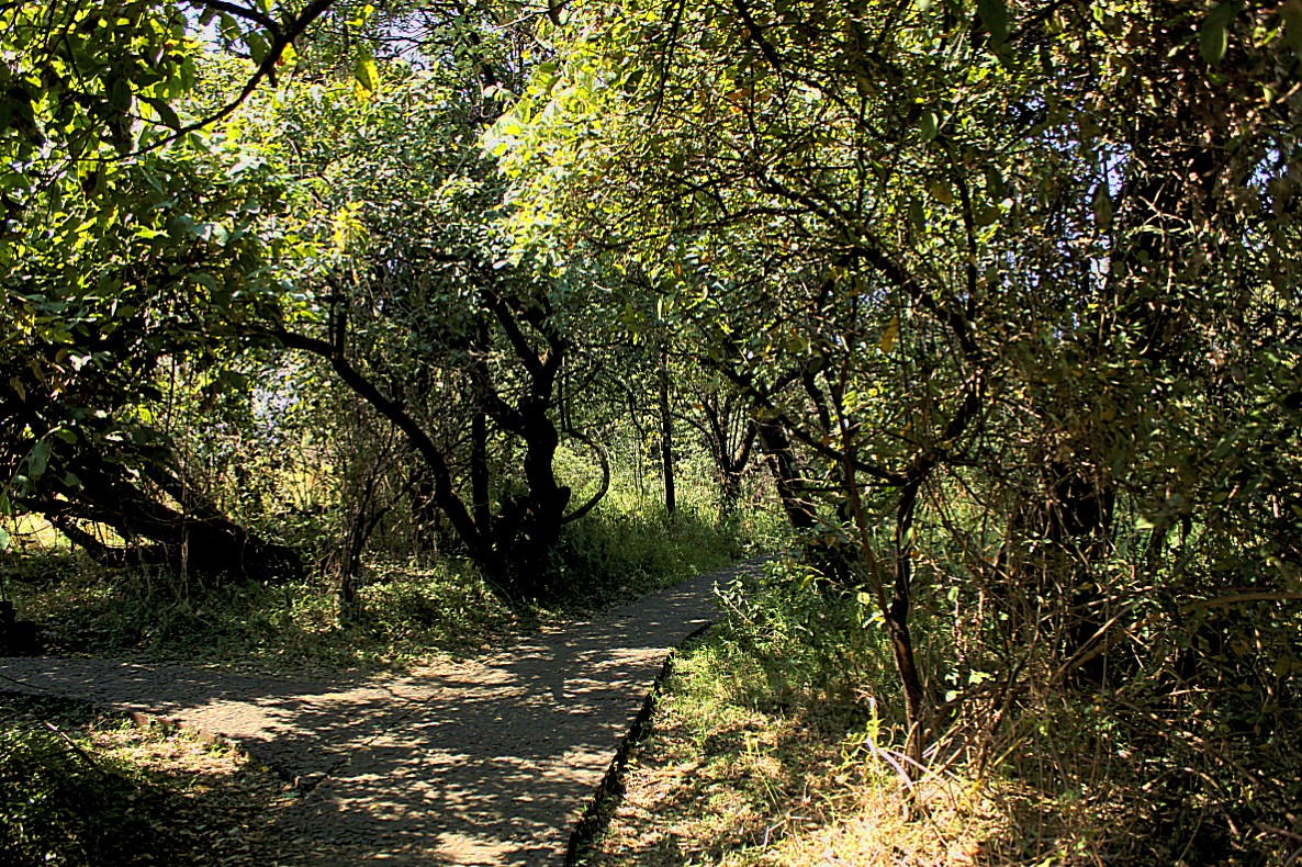 Zambia_VictoriaFalls_2015_Img0116