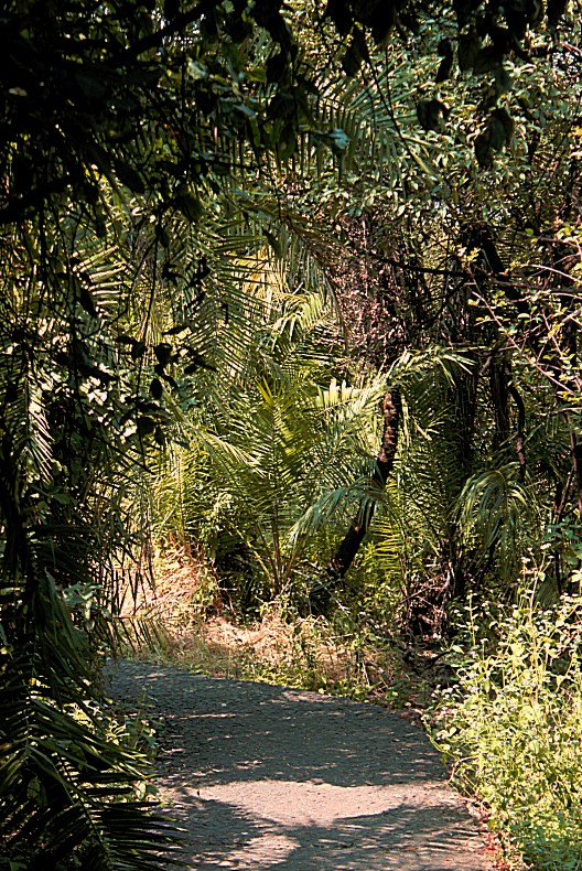 Zambia_VictoriaFalls_2015_Img0152