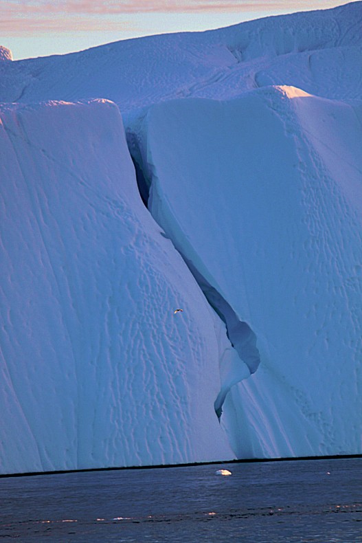 Greenland_SunsetCruise_2017_Img0006