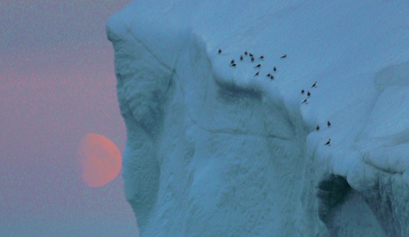 Greenland_SunsetCruise_2017_Img0208