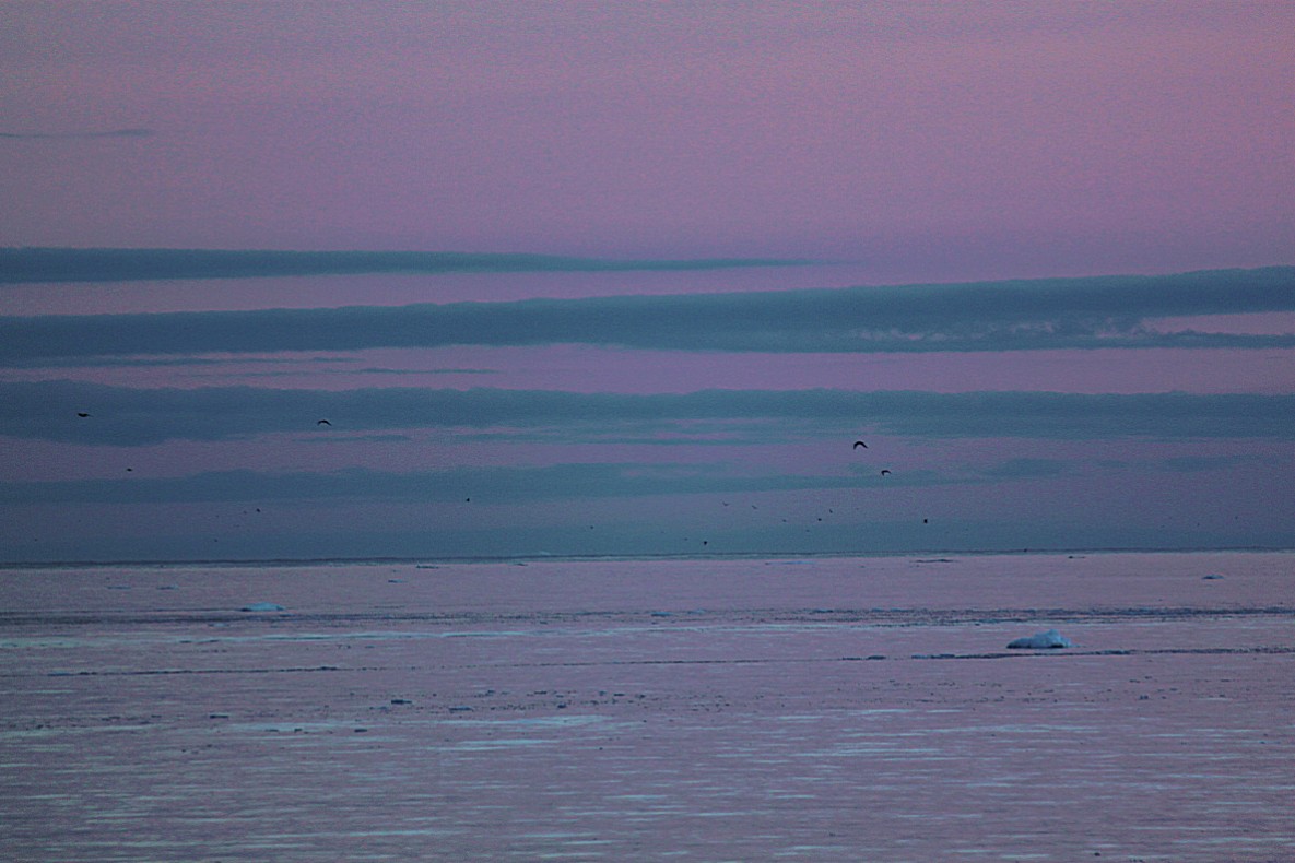 Greenland_SunsetCruise_2017_Img0235