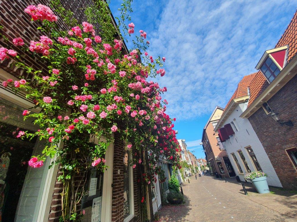 Deventer_HistoricWalk1_290