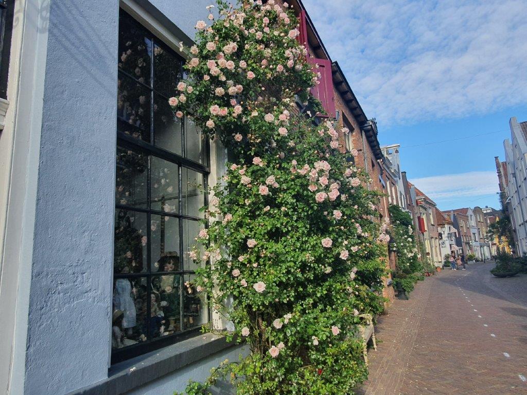 Deventer_HistoricWalk1_330
