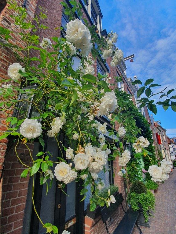 Deventer_HistoricWalk1_333