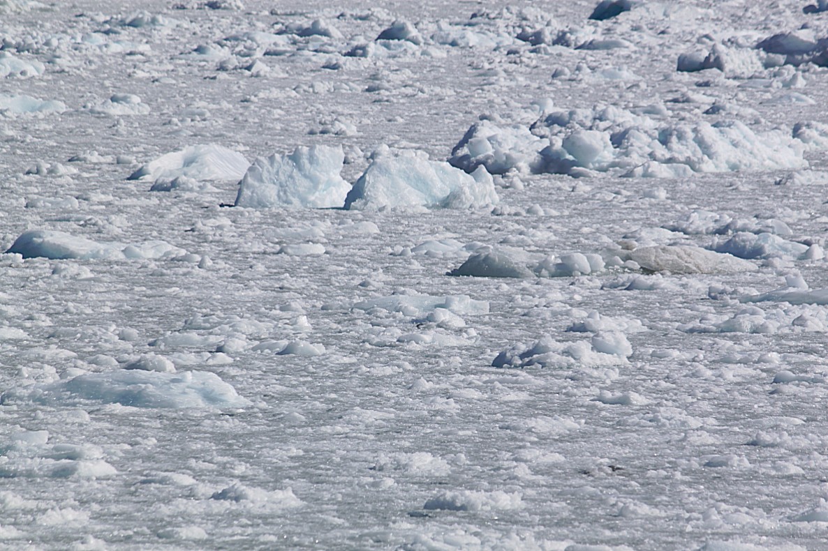 Greenland_SailtripEqiCamp_2017_Img0060