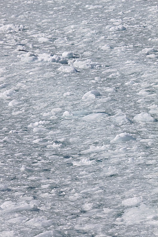 Greenland_SailtripEqiCamp_2017_Img0076