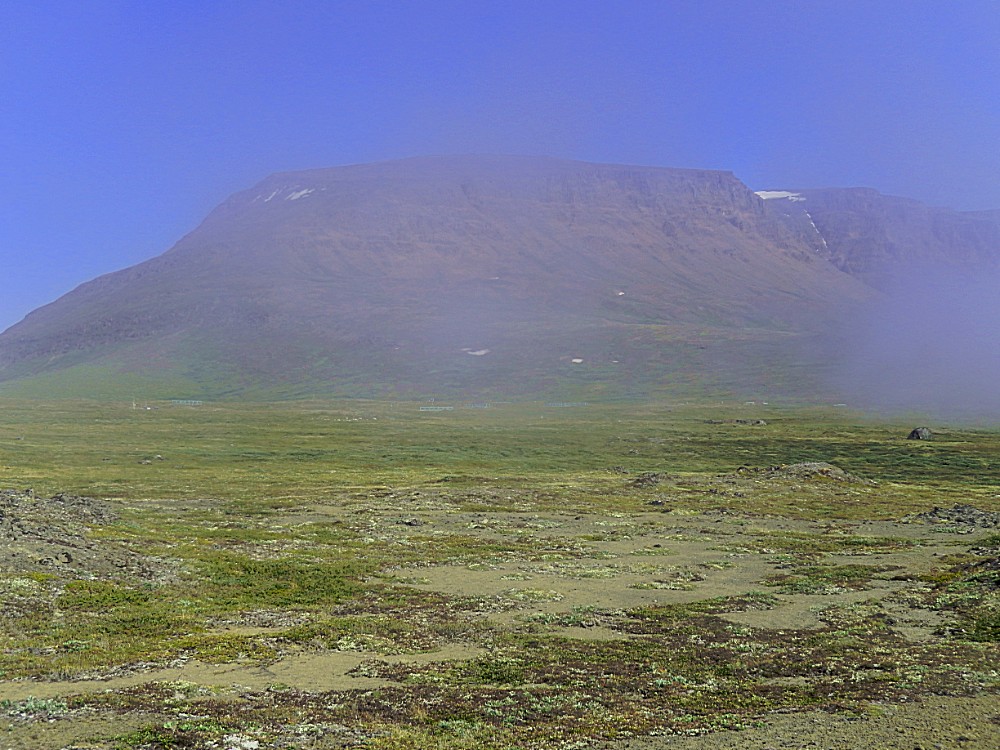 Greenland_Q_RedTrail_2017_Img0003