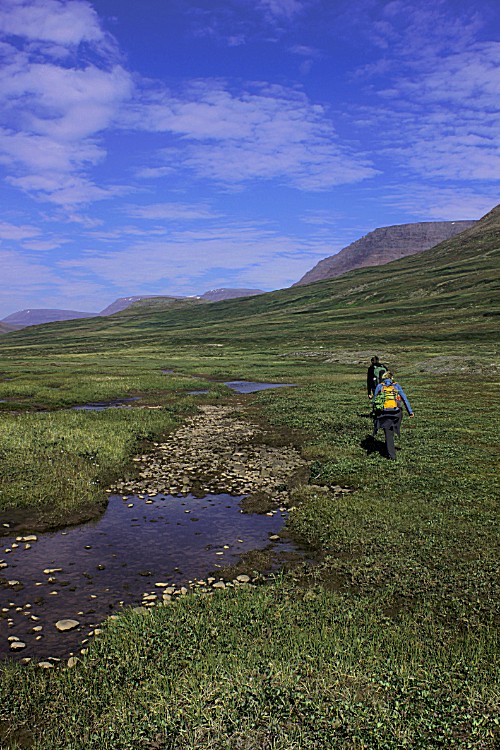 Greenland_Q_RedTrail_2017_Img0031