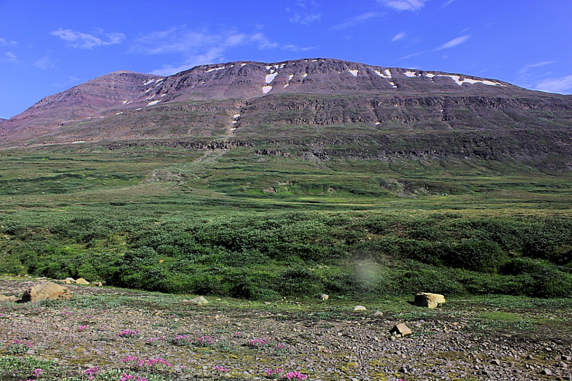 Greenland_Q_RedTrail_2017_Img0037