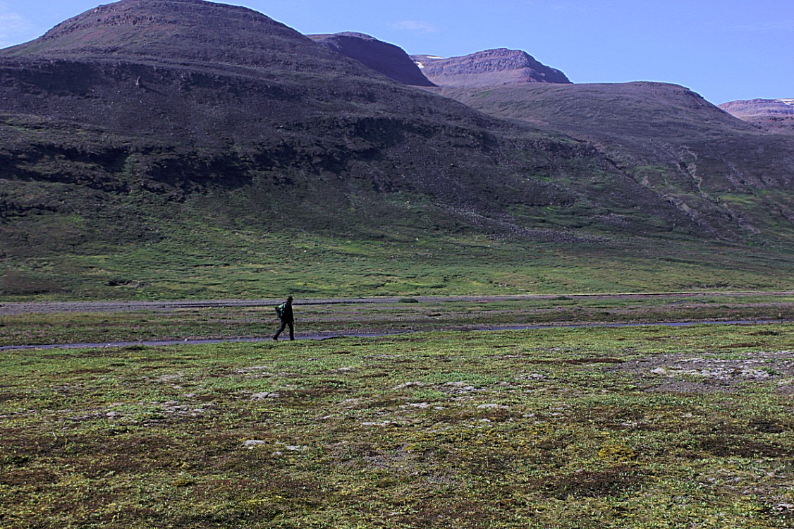 Greenland_Q_RedTrail_2017_Img0038e5