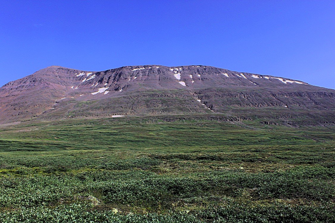 Greenland_Q_RedTrail_2017_Img0039