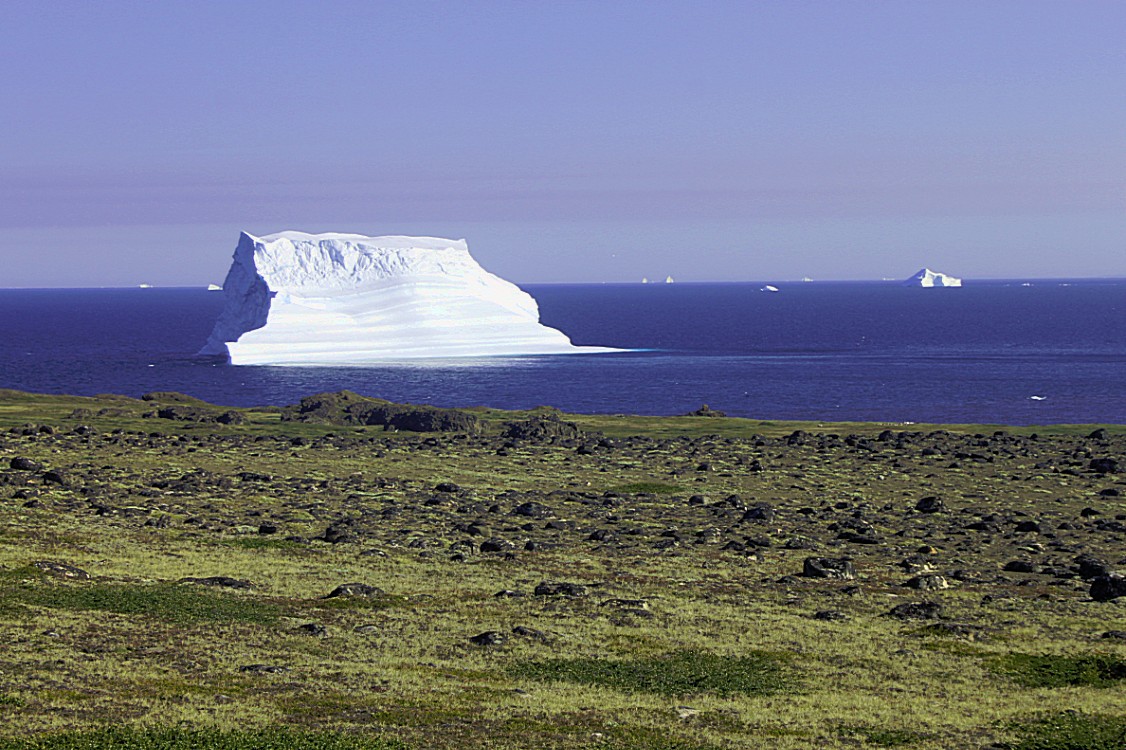 Greenland_Q_RedTrail_2017_Img0048