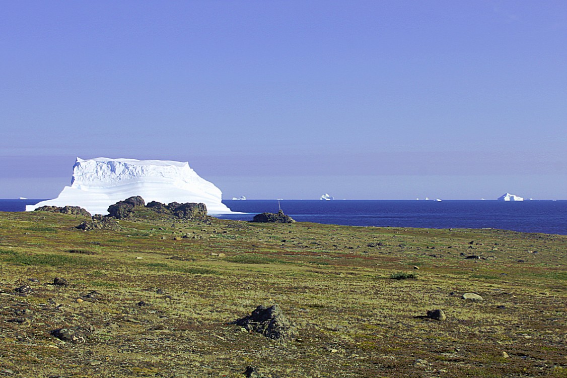 Greenland_Q_RedTrail_2017_Img0051