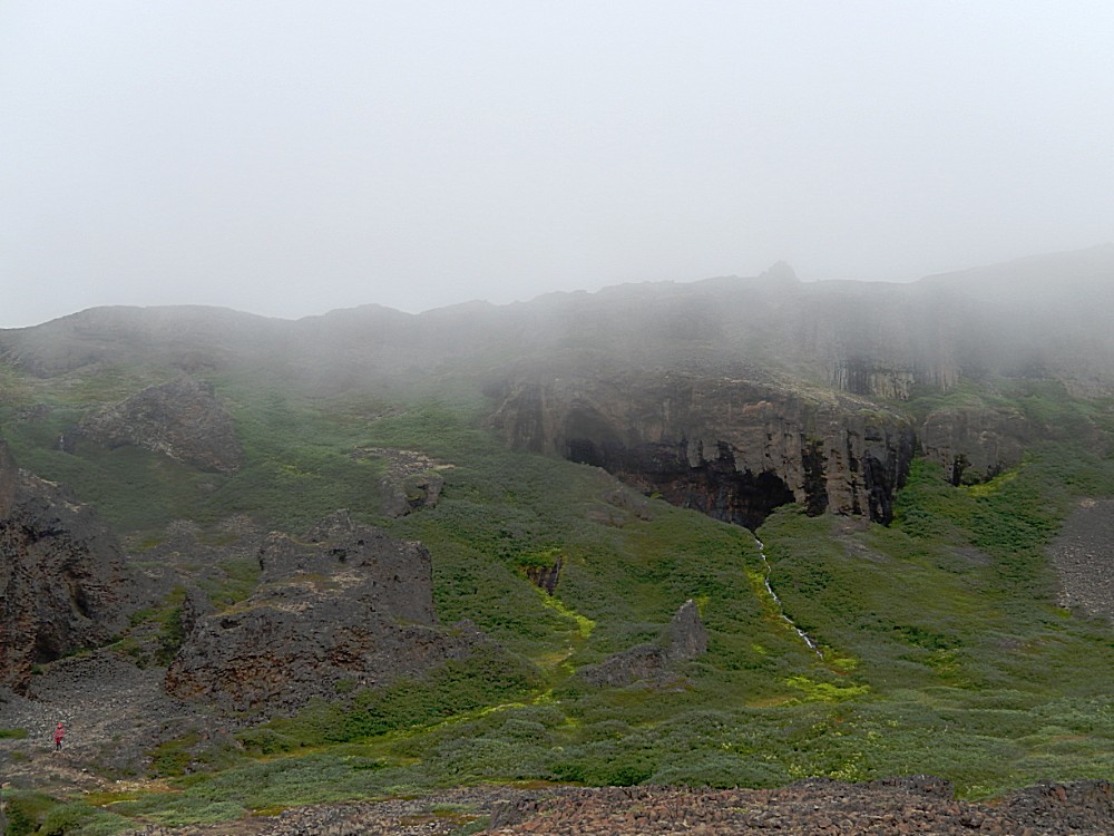 Greenland_Q_YellowTrail_2017_Img0045