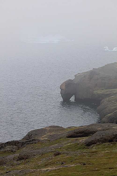 Greenland_Q_YellowTrail_2017_Img0047