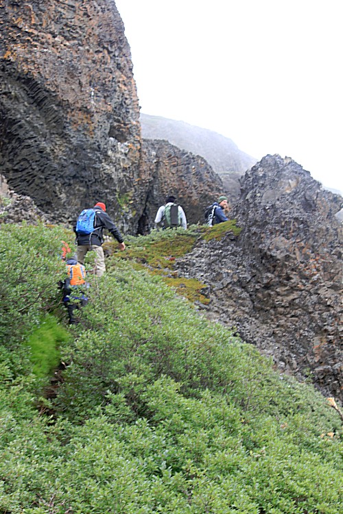 Greenland_Q_YellowTrail_2017_Img0055