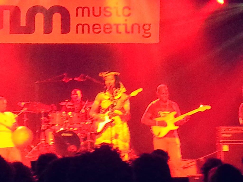 MM 2015 Fatoumata Diawara & Roberto Fonseca 013