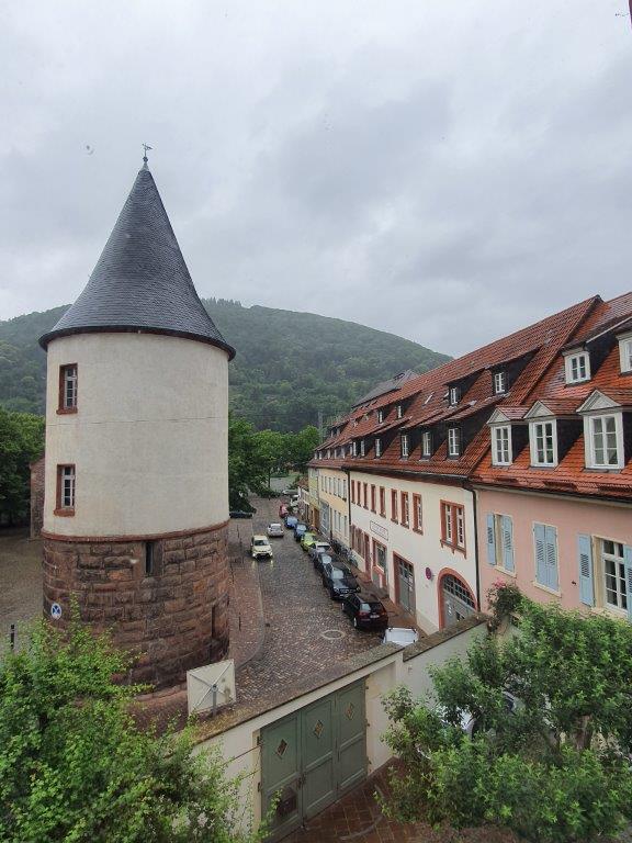 Heidelberg014