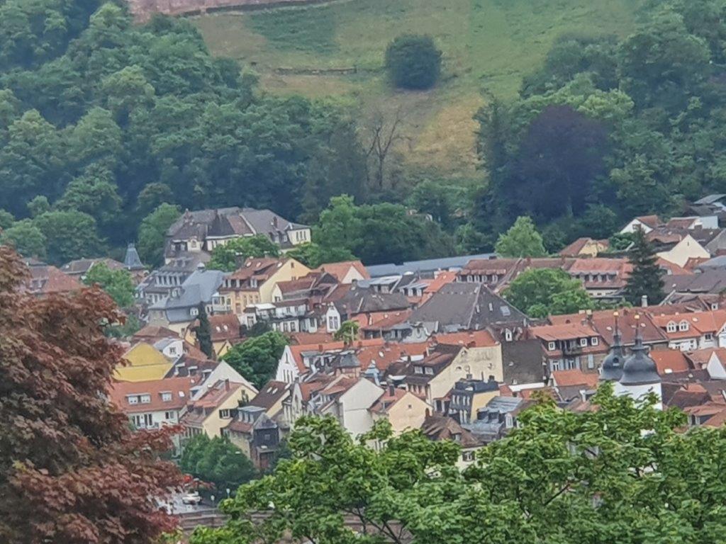 Heidelberg096