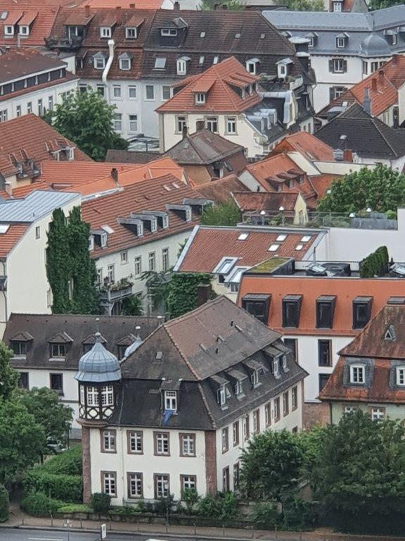 Heidelberg105