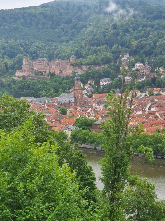 Heidelberg110