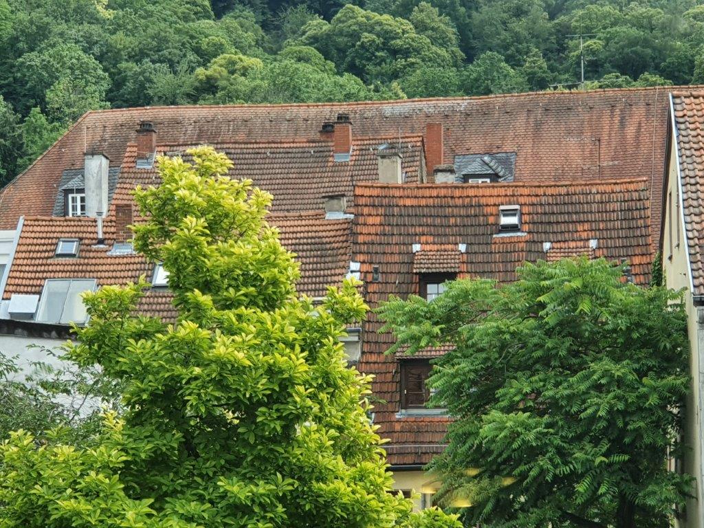 Heidelberg217