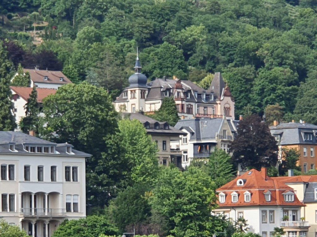 Heidelberg270