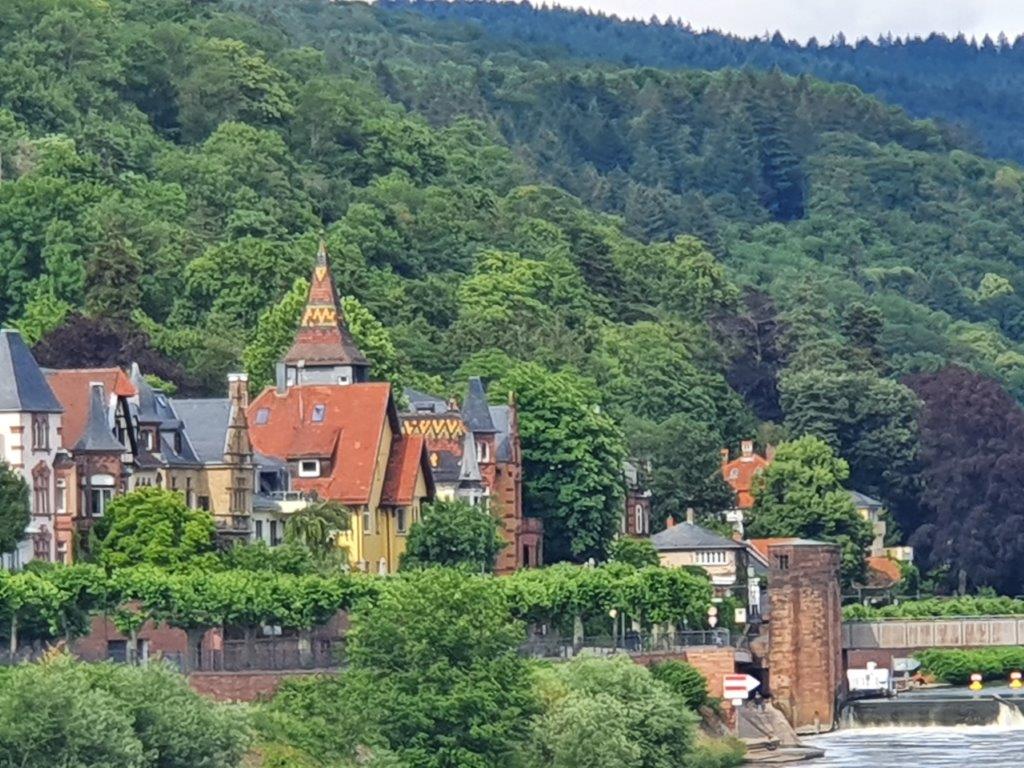 Heidelberg271