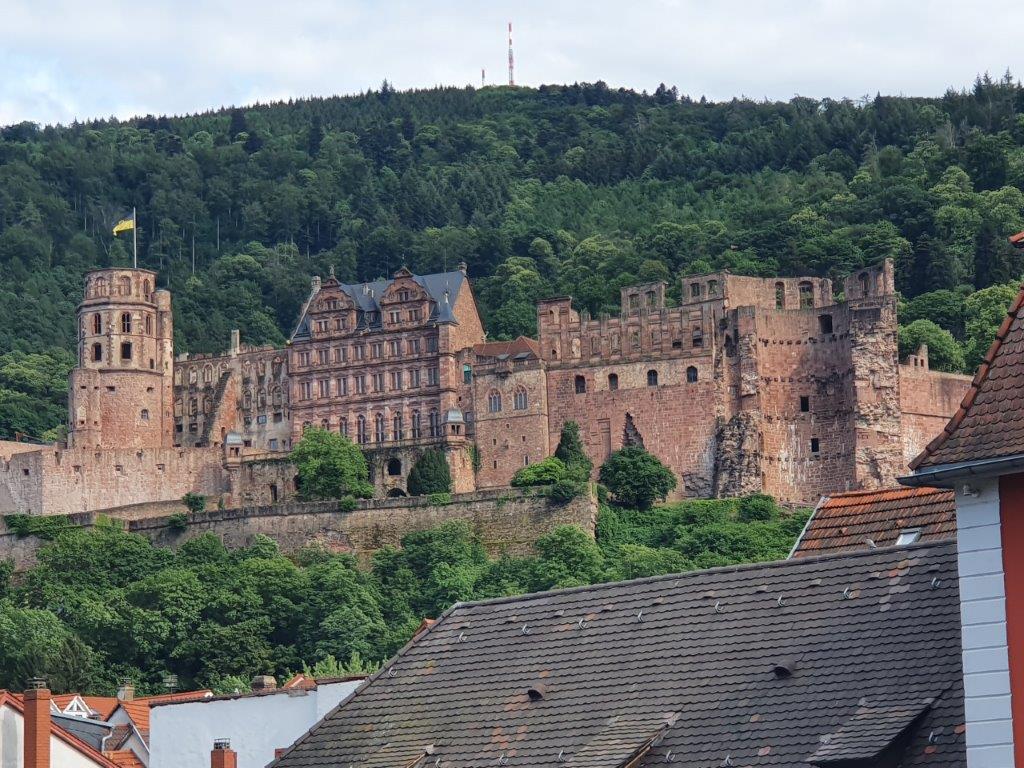 Heidelberg273