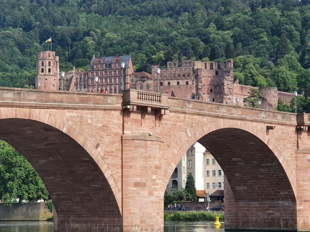 Heidelberg288