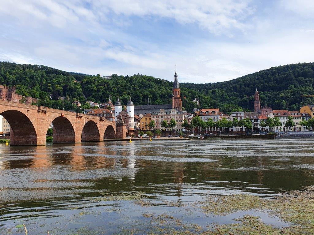 Heidelberg291