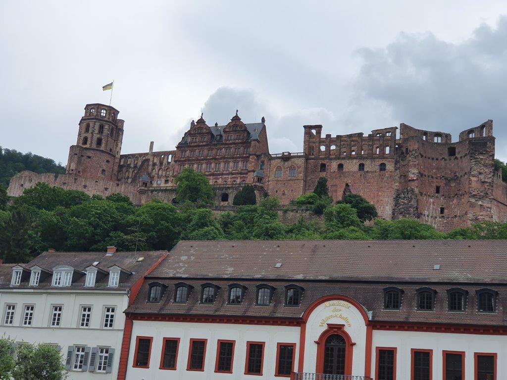 Heidelberg318