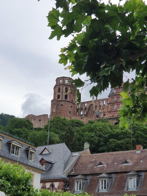Heidelberg319