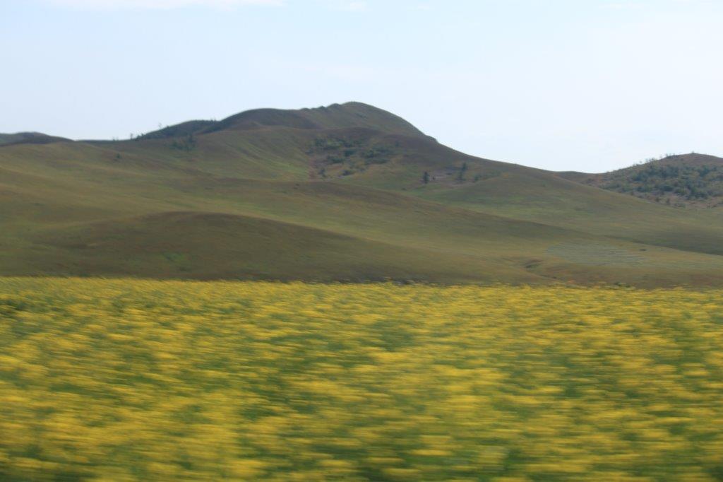 Mongolian Roadtrip_On the Road052