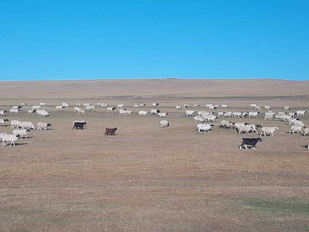 Northern Mongolia 006