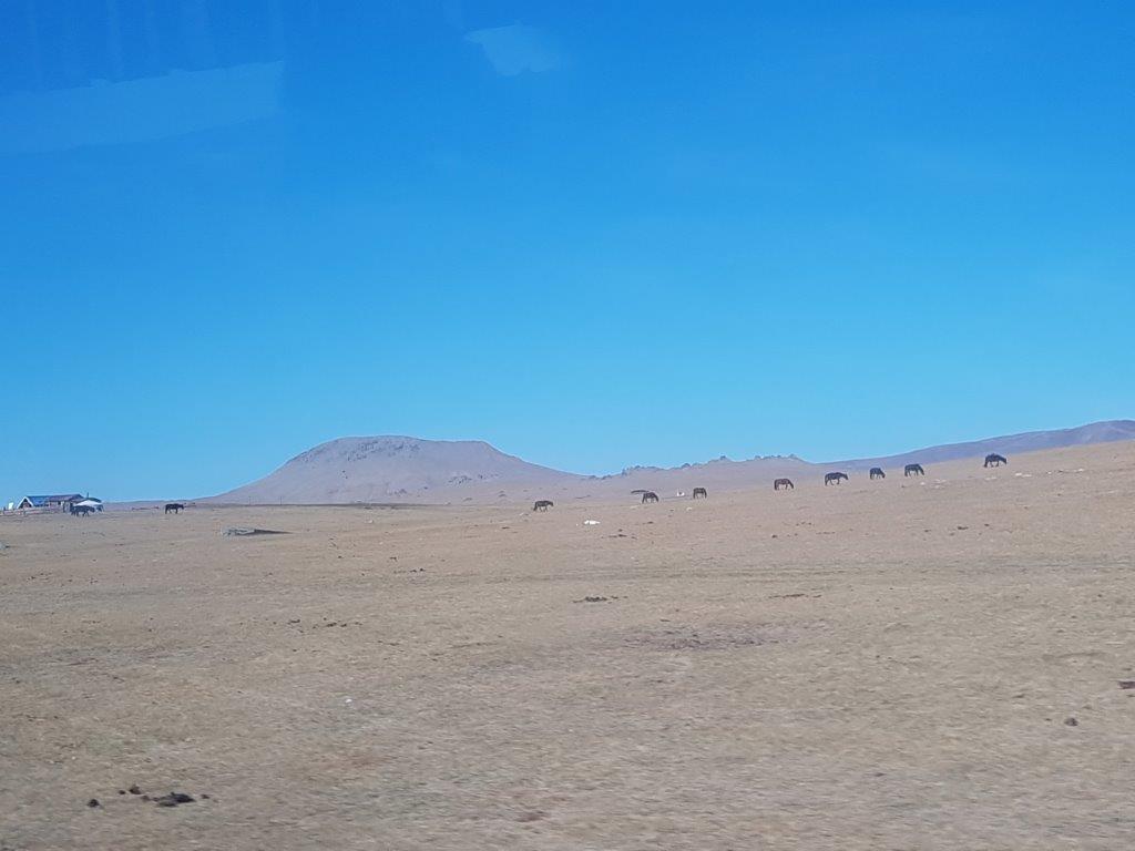 Northern Mongolia 010