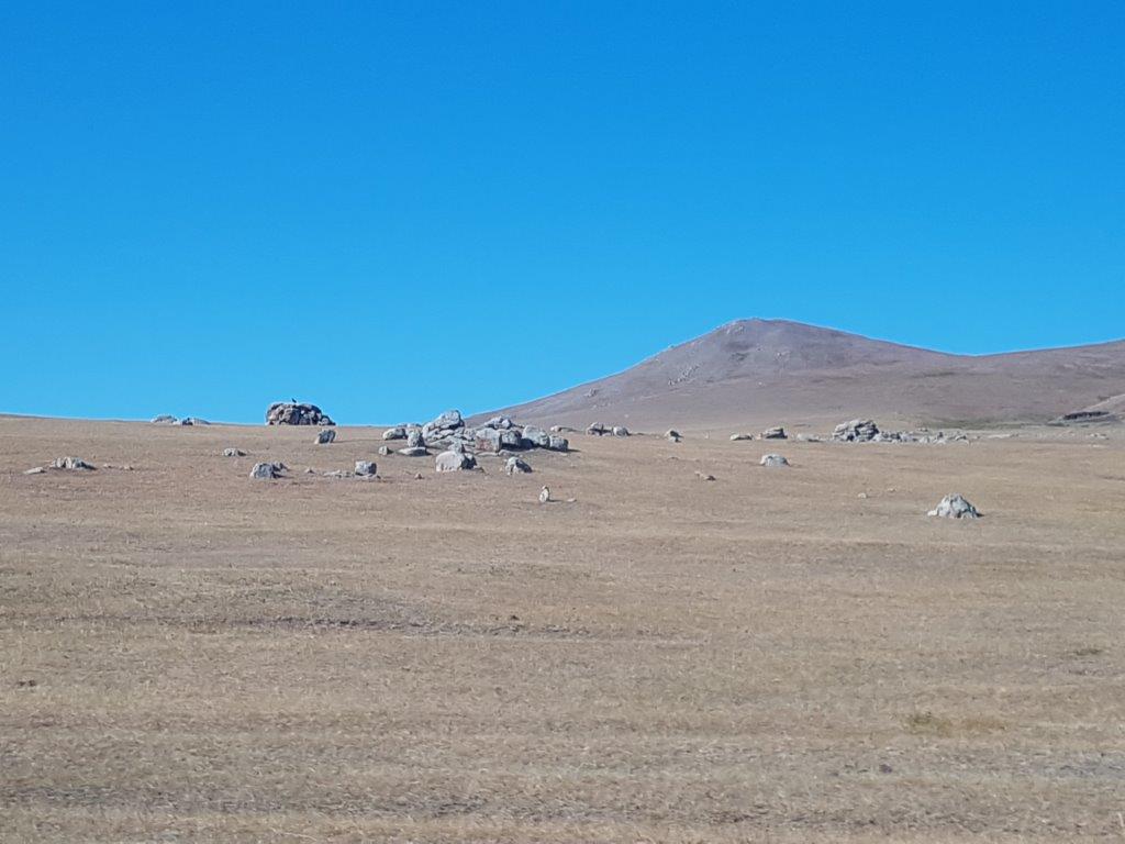 Northern Mongolia 013